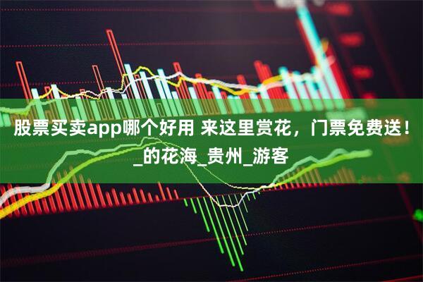 股票买卖app哪个好用 来这里赏花，门票免费送！_的花海_贵州_游客